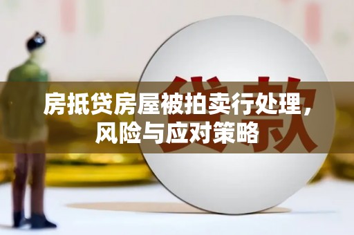 桃源房抵贷房屋被拍卖行处理，风险与应对策略