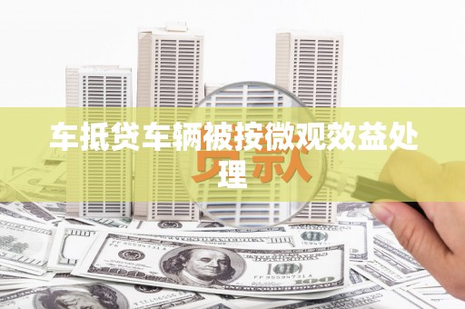 乐山车抵贷车辆被按微观效益处理